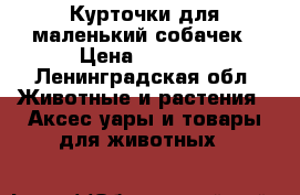 Курточки для маленький собачек › Цена ­ 1 000 - Ленинградская обл. Животные и растения » Аксесcуары и товары для животных   
